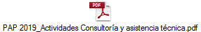 PAP 2019_Actividades Consultoría y asistencia técnica.pdf